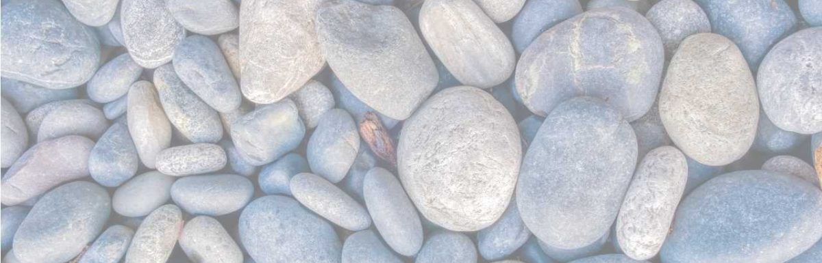 Como establecer prioridades